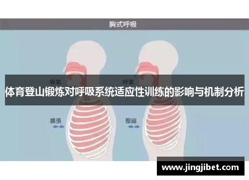 体育登山锻炼对呼吸系统适应性训练的影响与机制分析