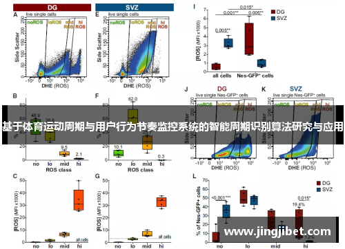 基于体育运动周期与用户行为节奏监控系统的智能周期识别算法研究与应用