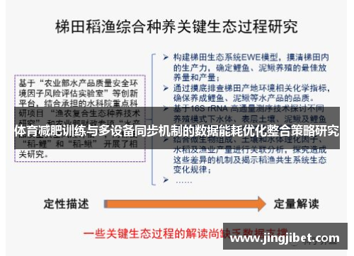 体育减肥训练与多设备同步机制的数据能耗优化整合策略研究