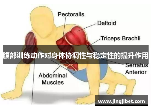 腹部训练动作对身体协调性与稳定性的提升作用